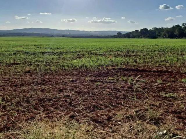 Sítio e chácara venda em Região Geográfica Imediata de Patos de Minas, Lagamar