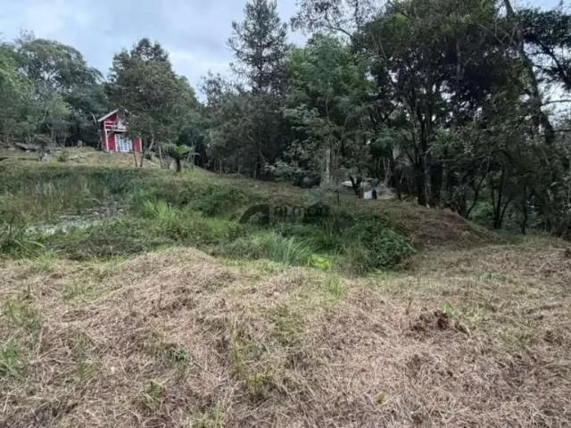 Sítio e chácara venda em Região Geográfica Imediata de Lages, Lages