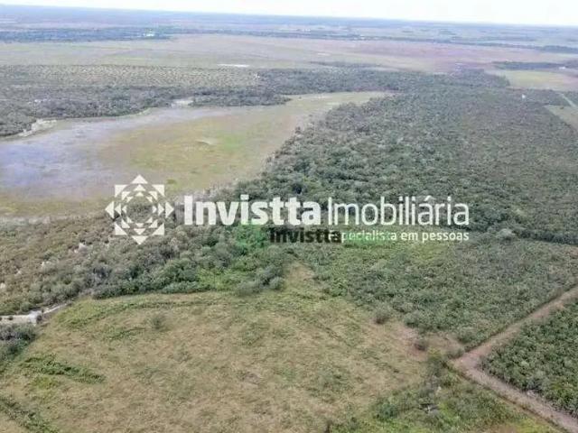 Sítio e chácara venda em Região Geográfica Imediata de Paraíso do Tocantins, Lagoa da Confusão