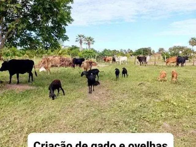 Sítio e chácara venda em Lagoa de Pedras, Região Nordeste