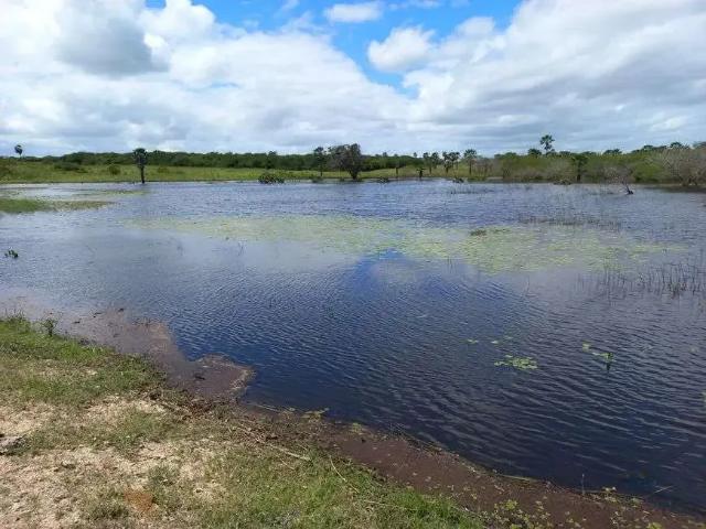 Sítio e chácara venda em Lagoa de Pedras, Região Nordeste