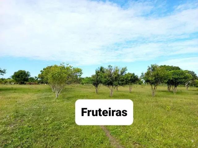 Sítio e chácara venda em Lagoa de Pedras, Região Nordeste