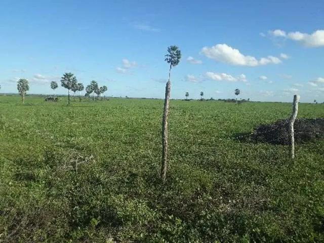 Sítio e chácara venda em Lagoa de Pedras, Região Nordeste