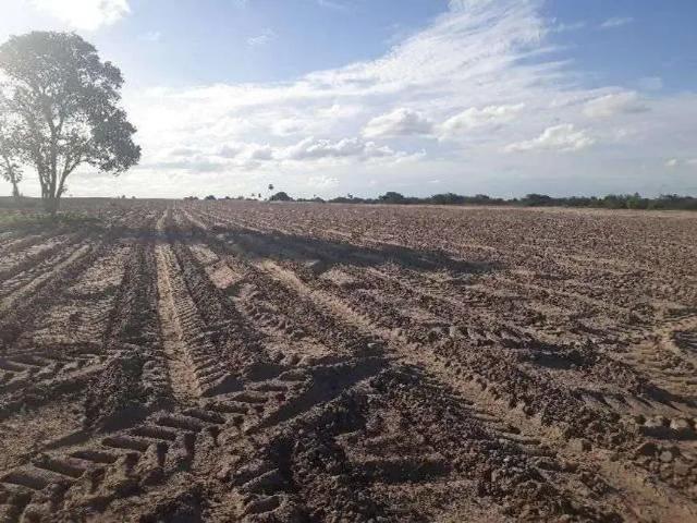 Sítio e chácara venda em Lagoa de Pedras, Região Nordeste