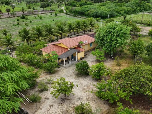 Sítio e chácara venda em Lagoa de Pedras, Região Nordeste