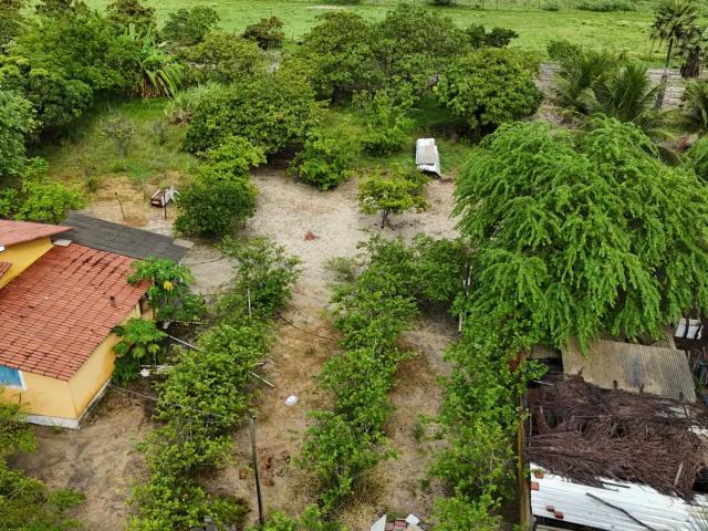 Sítio e chácara venda em Lagoa de Pedras, Região Nordeste