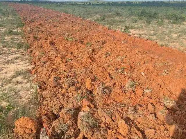 Sítio e chácara venda em Região Geográfica Imediata de Palmas, Lagoa do Tocantins