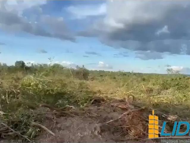 Sítio e chácara venda em Região Geográfica Imediata de Palmas, Lagoa do Tocantins