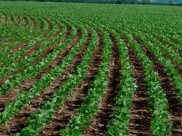 Sítio e chácara venda em Região Geográfica Imediata de Patos de Minas, Lagoa Grande