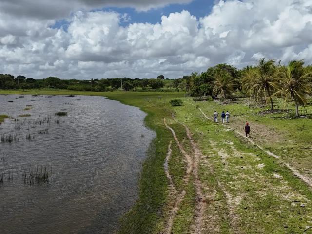Sítio e chácara venda em Região Geográfica Imediata de Natal, Lagoa Salgada