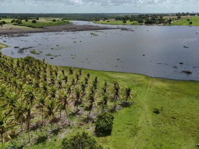 Sítio e chácara venda em Região Geográfica Imediata de Natal, Lagoa Salgada