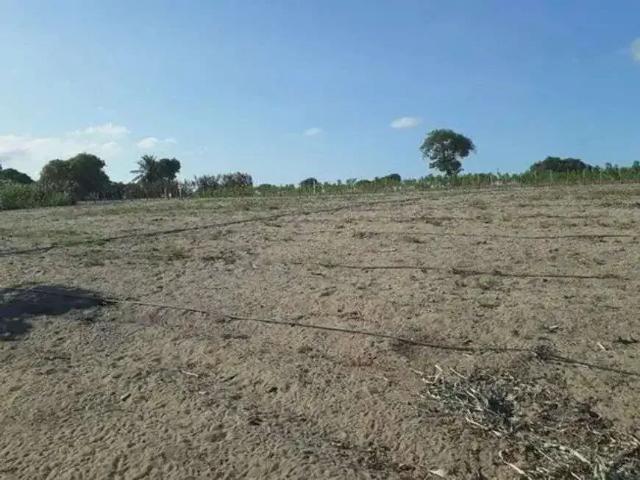 Sítio e chácara venda em Região Geográfica Imediata de Natal, Lagoa Salgada