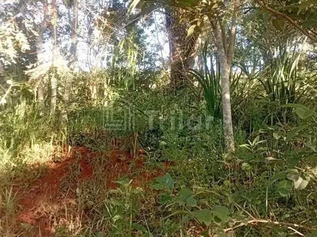 Sítio e chácara venda em Região Imediata de Taubaté-Pindamonhangaba, Região Metropolitana do Vale do Paraíba e Litoral Norte