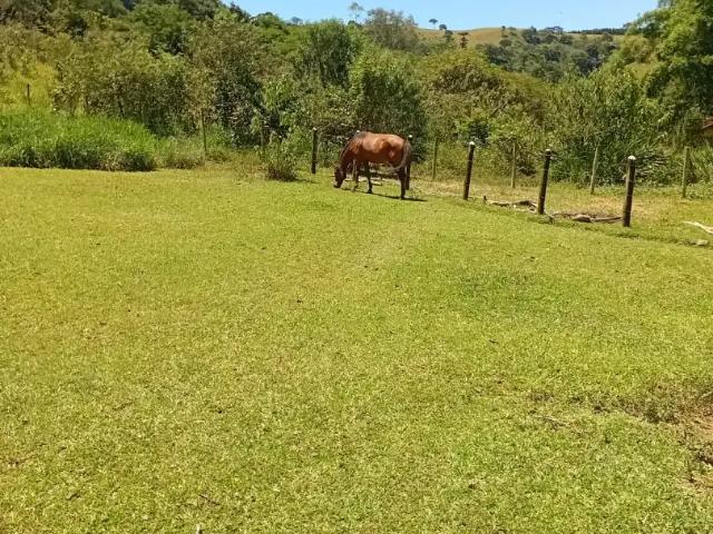 Sítio e chácara venda em Região Imediata de Taubaté-Pindamonhangaba, Região Metropolitana do Vale do Paraíba e Litoral Norte