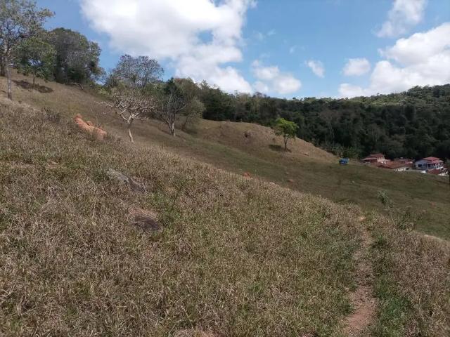 Sítio e chácara venda em Região Geográfica Imediata de São Lourenço, Lambari