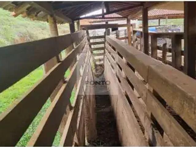 Sítio e chácara venda em Região Geográfica Imediata de Juiz de Fora, Juiz de Fora