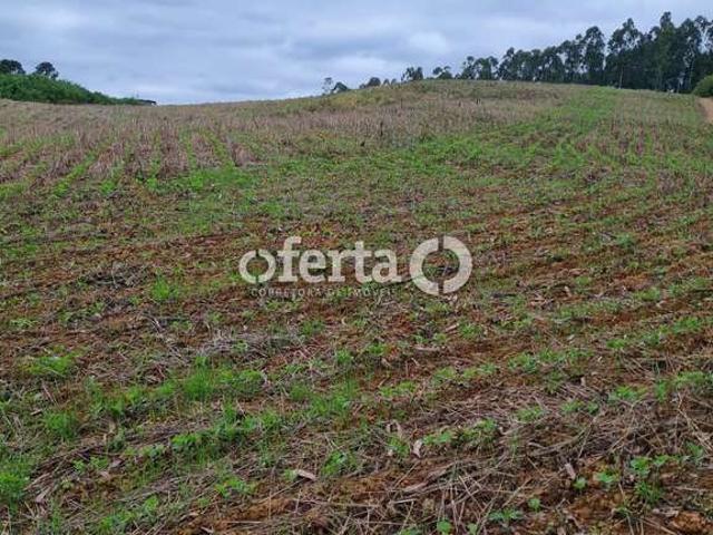 Sítio e chácara venda em Região Geográfica Imediata de Curitiba, Região Metropolitana de Curitiba