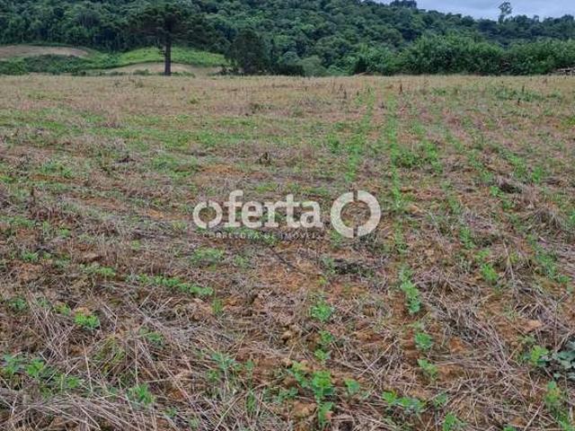 Sítio e chácara venda em Região Geográfica Imediata de Curitiba, Região Metropolitana de Curitiba