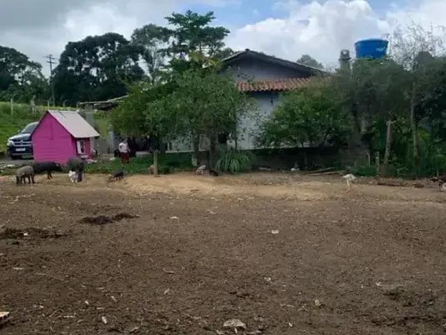 Sítio e chácara venda em Região Geográfica Imediata de Curitiba, Região Metropolitana de Curitiba