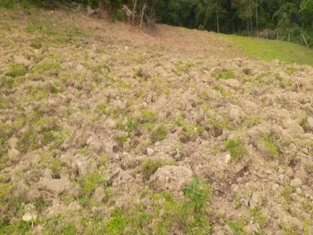 Sítio e chácara venda em Região Geográfica Imediata de Curitiba, Região Metropolitana de Curitiba