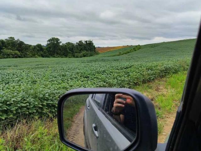 Sítio e chácara venda em Lapa, Região Geográfica Intermediária de Curitiba