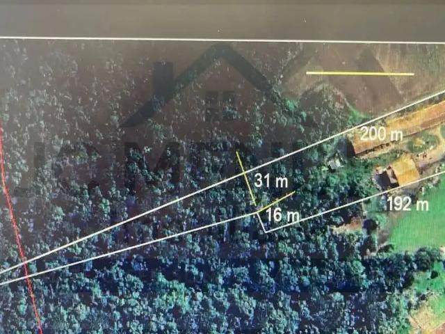 Sítio e chácara venda em Região Geográfica Imediata de Curitiba, Região Metropolitana de Curitiba