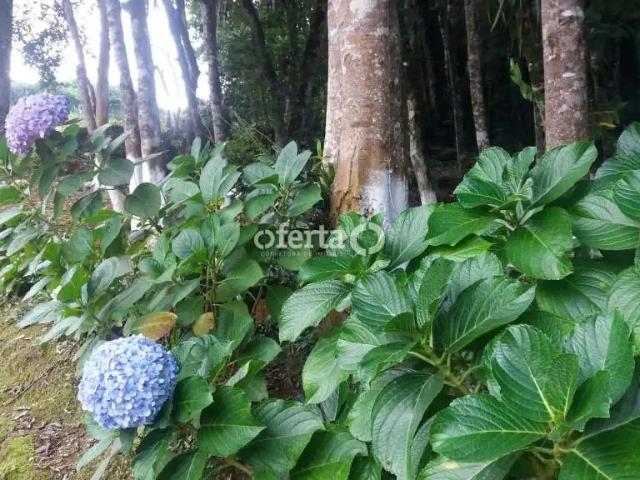 Sítio e chácara venda em Lapa, Região Geográfica Intermediária de Curitiba