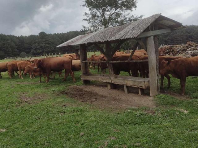 Sítio e chácara venda em Região Geográfica Imediata de Curitiba, Região Metropolitana de Curitiba