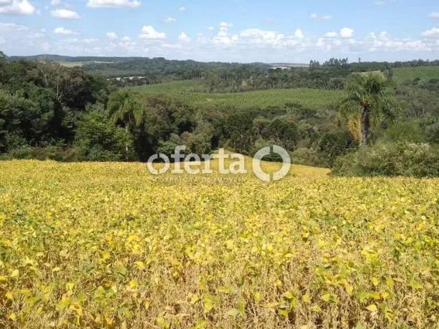 Sítio e chácara venda em Região Geográfica Imediata de Curitiba, Região Metropolitana de Curitiba