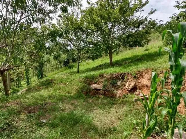 Sítio e chácara venda em Região Geográfica Imediata de Curitiba, Região Metropolitana de Curitiba