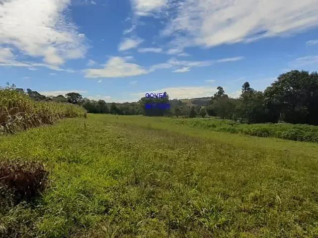 Sítio e chácara venda em Região Geográfica Imediata de Curitiba, Região Metropolitana de Curitiba
