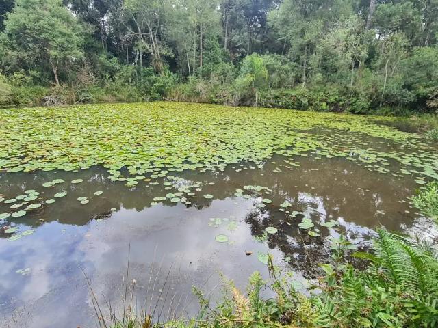 Sítio e chácara venda em Região Geográfica Imediata de Curitiba, Região Metropolitana de Curitiba