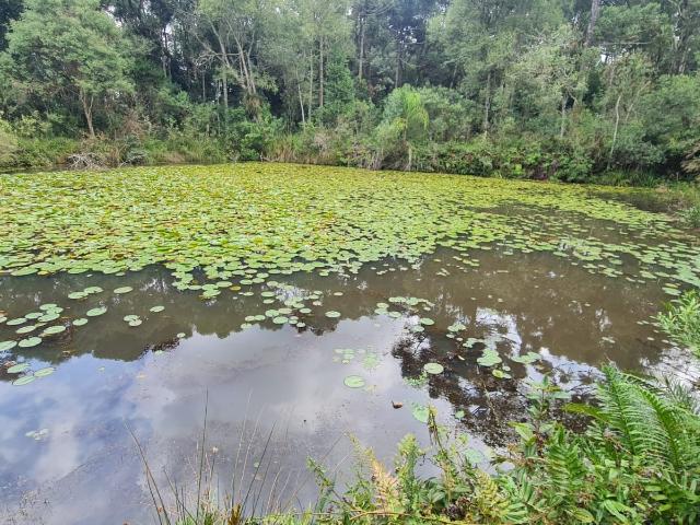 Sítio e chácara venda em Região Geográfica Imediata de Curitiba, Região Metropolitana de Curitiba