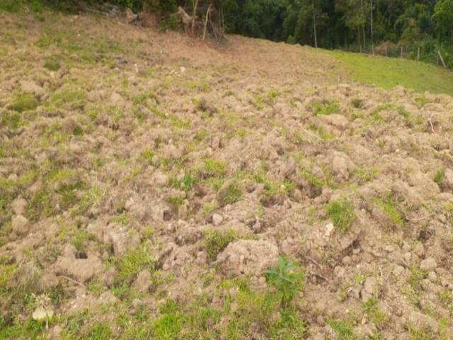 Sítio e chácara venda em Região Geográfica Imediata de Curitiba, Região Metropolitana de Curitiba