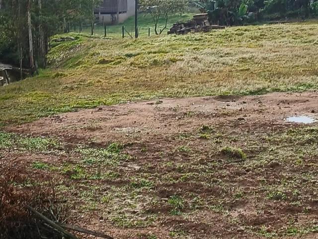 Sítio e chácara venda em Lauro Müller, Região Geográfica Intermediária de Criciúma