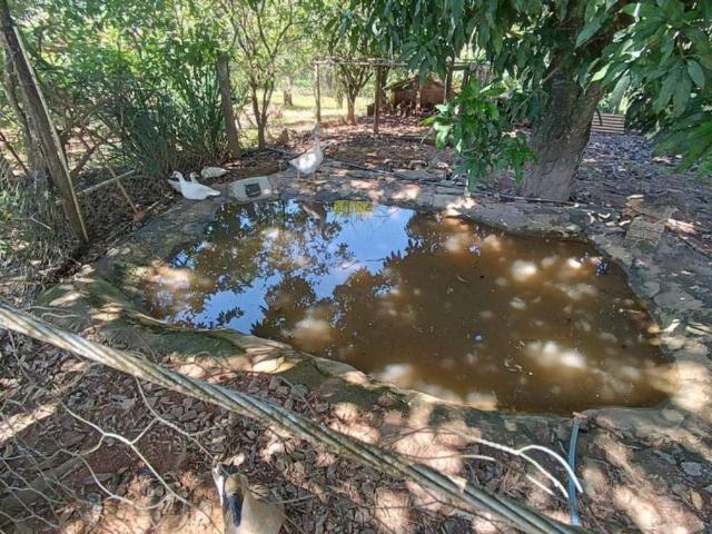 Sítio e chácara venda em Região Geográfica Imediata de Divinópolis, Lagoa da Prata