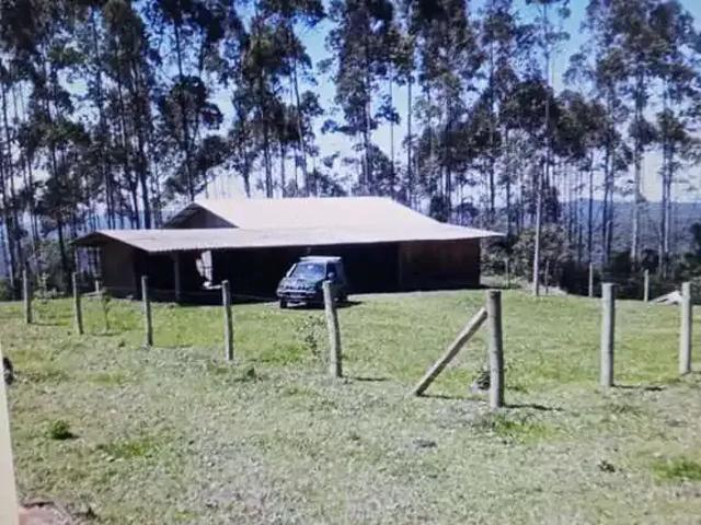 Sítio e chácara venda em Leoberto Leal, Região Sul
