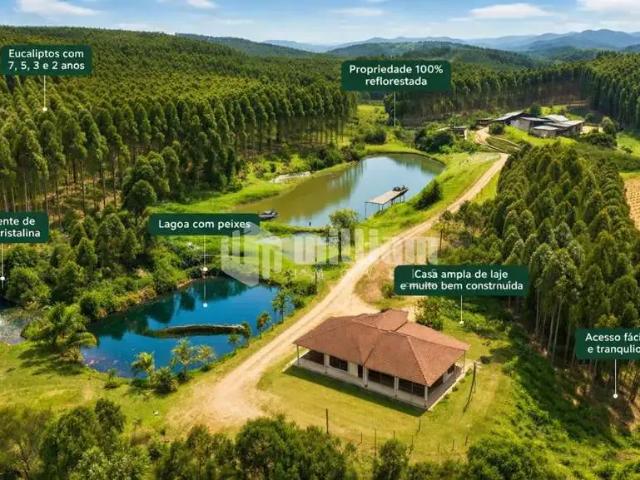 Sítio e chácara venda em Leoberto Leal, Região Sul