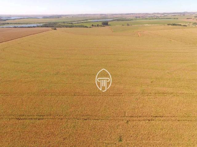 Sítio e chácara venda em Região Geográfica Imediata de Cornélio Procópio-Bandeirantes, Leópolis