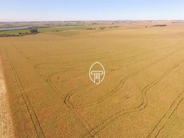 Sítio e chácara venda em Região Geográfica Imediata de Cornélio Procópio-Bandeirantes, Leópolis