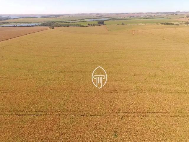 Sítio e chácara venda em Região Geográfica Imediata de Cornélio Procópio-Bandeirantes, Leópolis