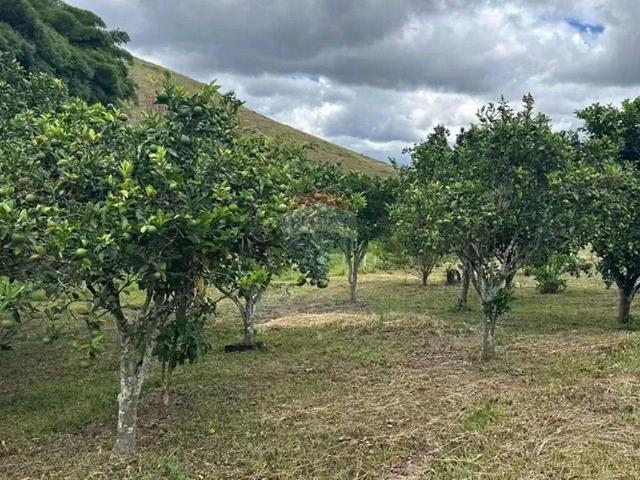 Sítio e chácara venda em Região Geográfica Imediata de Juiz de Fora, Lima Duarte