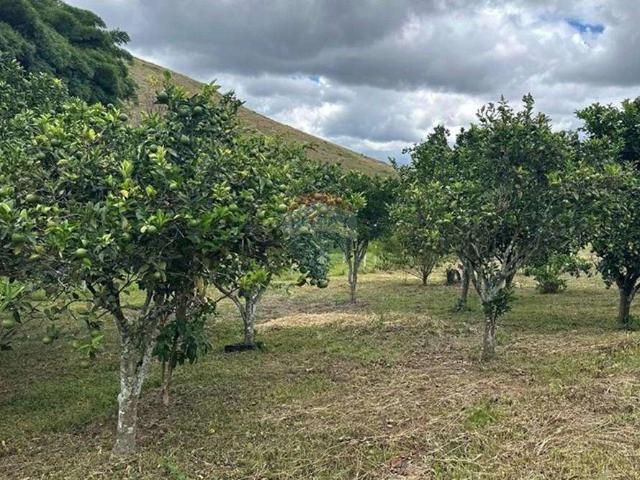 Sítio e chácara venda em Lima Duarte, Região Geográfica Intermediária de Juiz de Fora