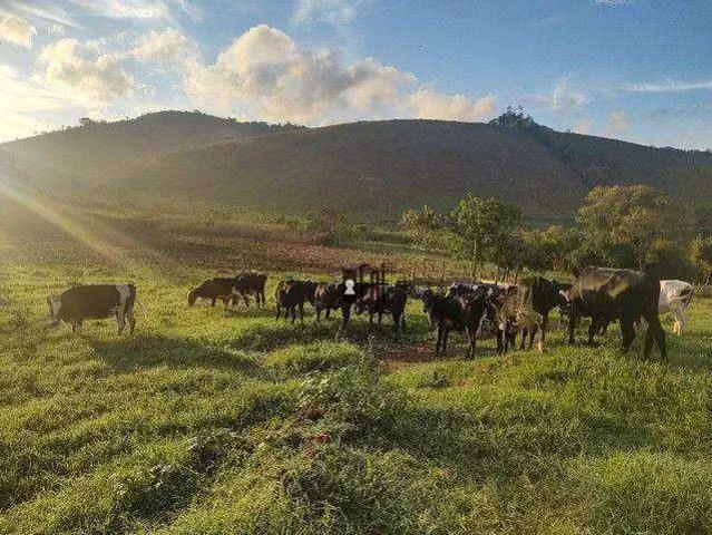 Sítio e chácara venda em Região Geográfica Imediata de Juiz de Fora, Lima Duarte