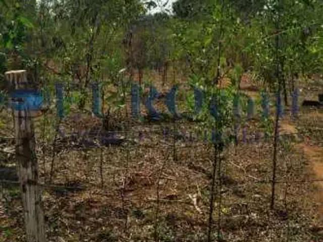 Sítio e chácara venda em Região Imediata de Limeira, Região Metropolitana de Piracicaba