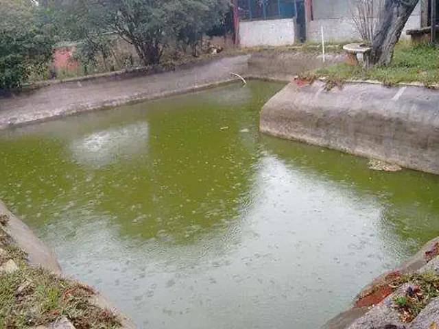 Sítio e chácara venda em Região Imediata de Limeira, Região Metropolitana de Piracicaba