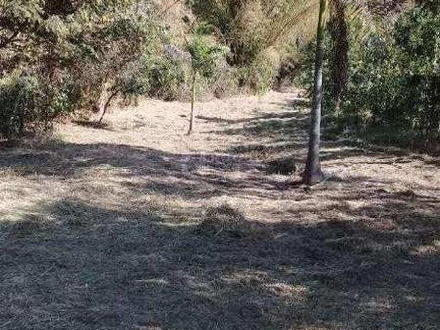 Sítio e chácara venda em Região Imediata de Limeira, Região Metropolitana de Piracicaba
