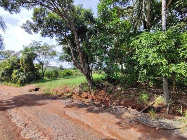 Sítio e chácara venda em Região Imediata de Limeira, Região Metropolitana de Piracicaba