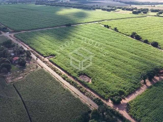 Sítio e chácara venda em Região Imediata de Limeira, Região Metropolitana de Piracicaba