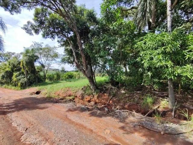Sítio e chácara venda em Região Imediata de Limeira, Região Metropolitana de Piracicaba